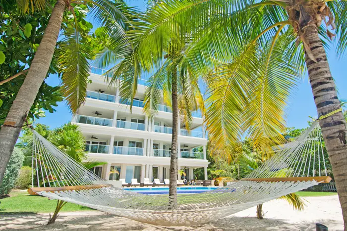 Hammock and palm trees at Sea Breeze