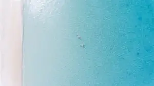 Aerial view of the Seven Mile Beach shoreline