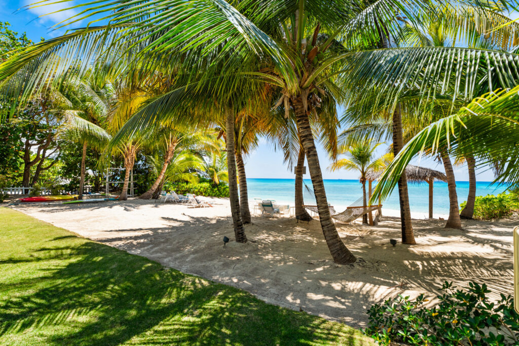 Palm trees and beach at Sea Breeze