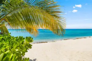 Seven Mile Beach framed by palm leaves